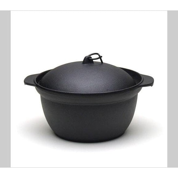 Oigen Seieido Nanbu Cast Iron Rice Pot