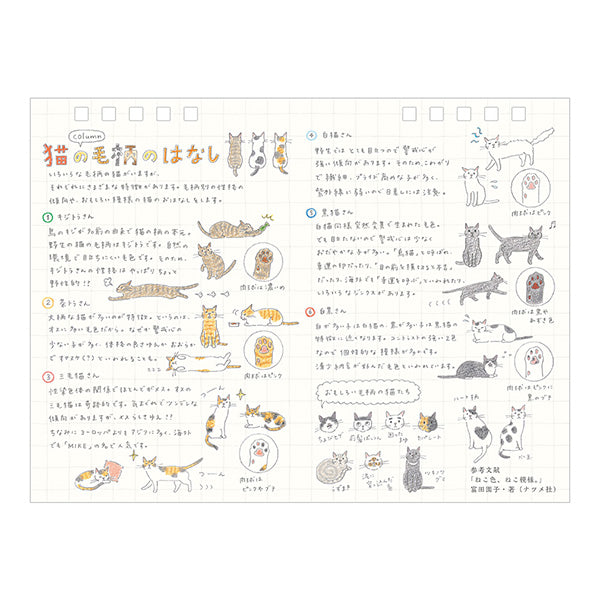Midori Calendar Ring M Cat 2027