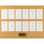 Midori Stand Calendar Cat 2027