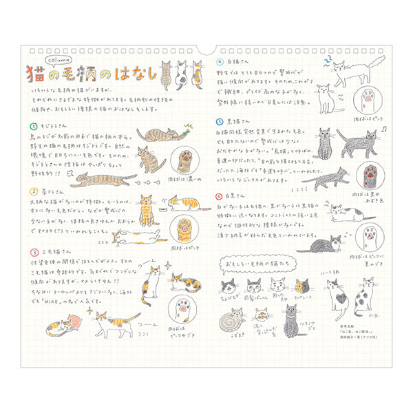 Midori Calendar Wall-Hanging L Cat 2027