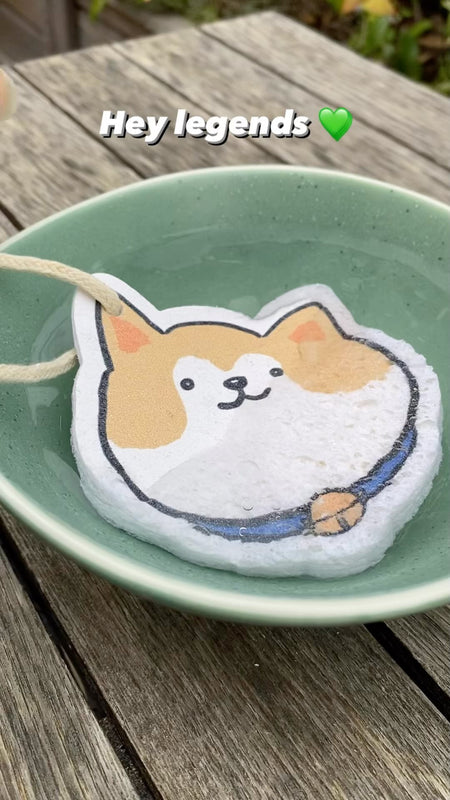 Have you seen these before? Different to the childhood classic, expanding towels