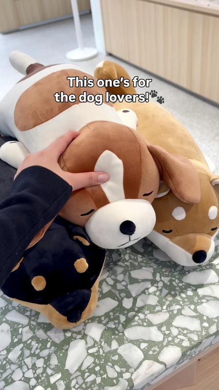 🐾✨ Happy International Dog Day! ✨🐾 Celebrate with a touch of Japan at your table