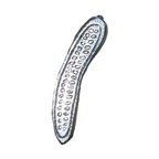 Aika Tin Vegetable Chopstick Rest - Cucumber