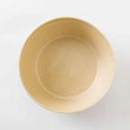 Amis Plantaree Albee Bowl 13D