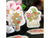 BGM Sakura Workshop Limited Edition Red Scarlet Deco Stickers 45pcs