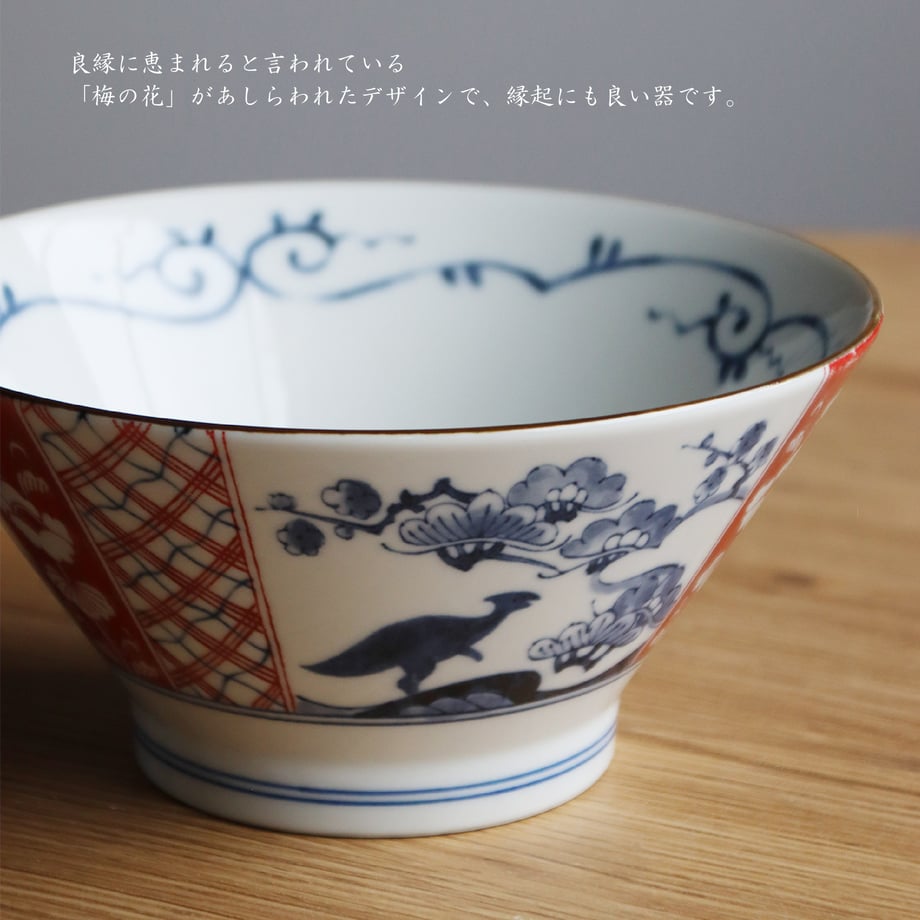 Edokko Dinosaur Donburi Bowl 19D