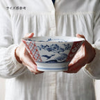 Edokko Dinosaur Donburi Bowl 19D