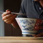 Edokko Dinosaur Donburi Bowl 19D