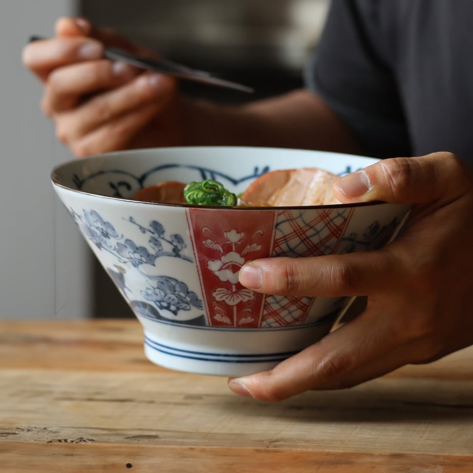 Edokko Dinosaur Donburi Bowl 19D
