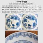 Edokko Dinosaur Dragon Landscape Medium Plate 17D