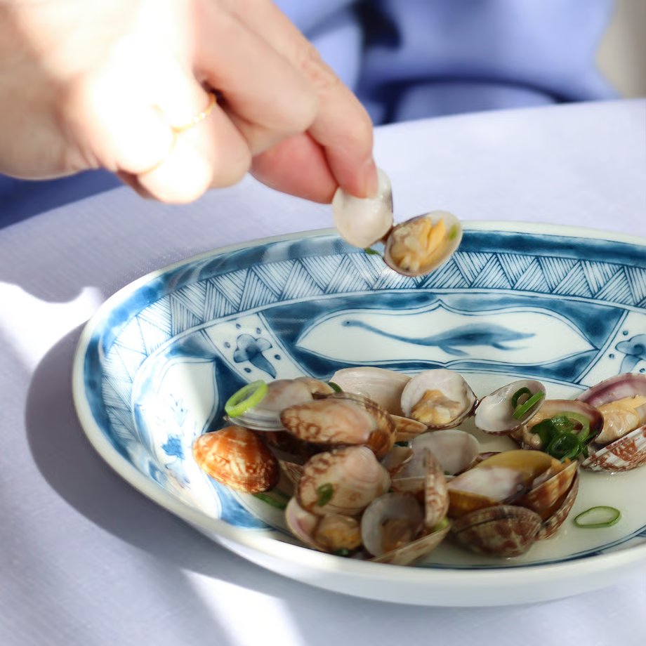 Edokko Dinosaur Oval Deep Plate 21.5 x 22 x 10.5