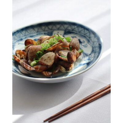 Edokko Dinosaur Oval Deep Plate 21.5 x 22 x 10.5