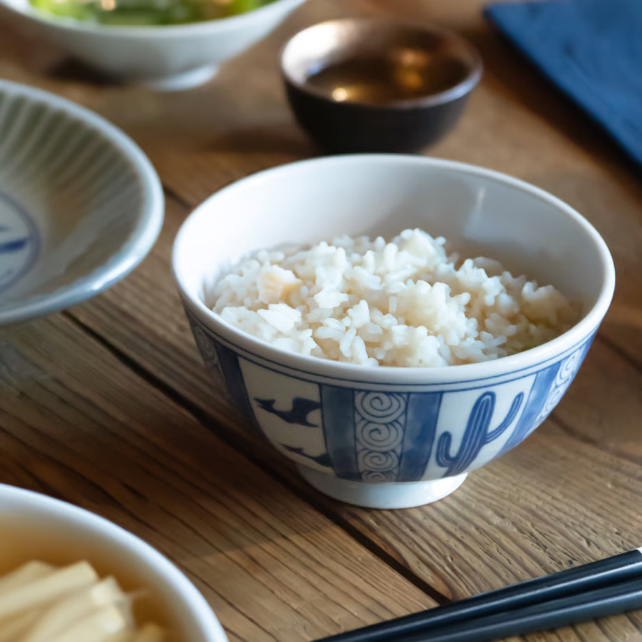 Edokko Dinosaur Pterosaur Rice Bowl