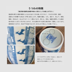 Edokko Dinosaur Pterosaur Soba Cup 200ml