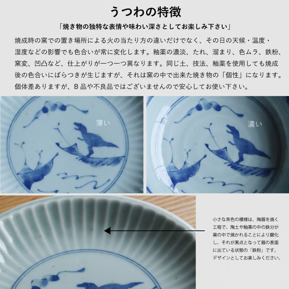 Edokko Dinosaur Shinogi Bowl 15.5D
