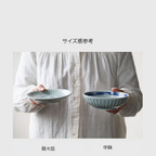Edokko Dinosaur Shinogi Mini Plate 15.5D