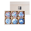 Edokko Dinosaur Small Plates Wooden Gift Set 6P