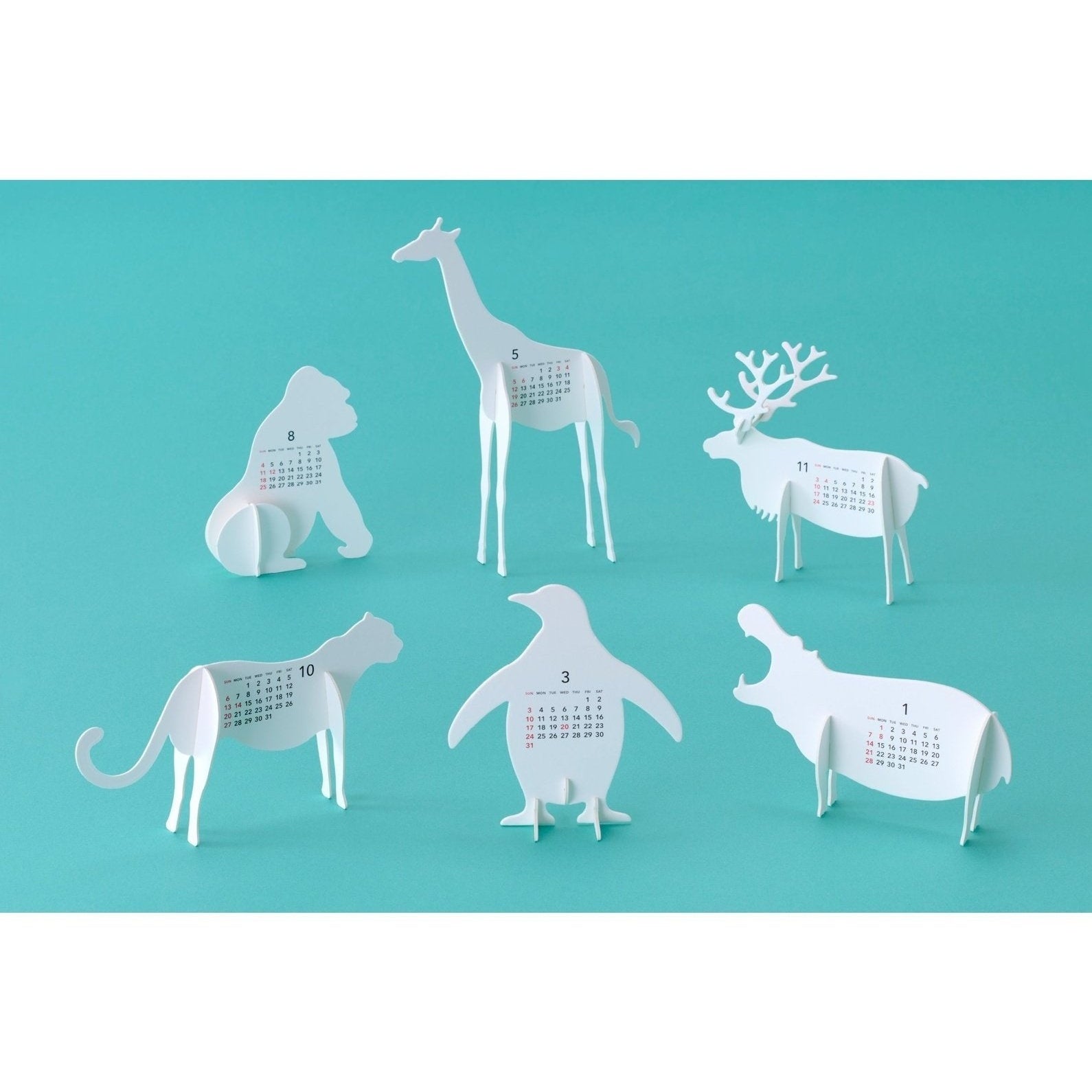 Good Morning Calendar Zoo 2024