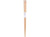 Grapport Plumpy Chopsticks Shiba Inu 22.5cm