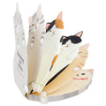 Assorted fanned stack of relaxing cat memo pads