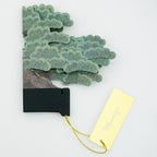 Greeting Life BONSAI Pop-Up Card - Black Pine