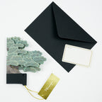 Greeting Life BONSAI Pop-Up Card - Black Pine