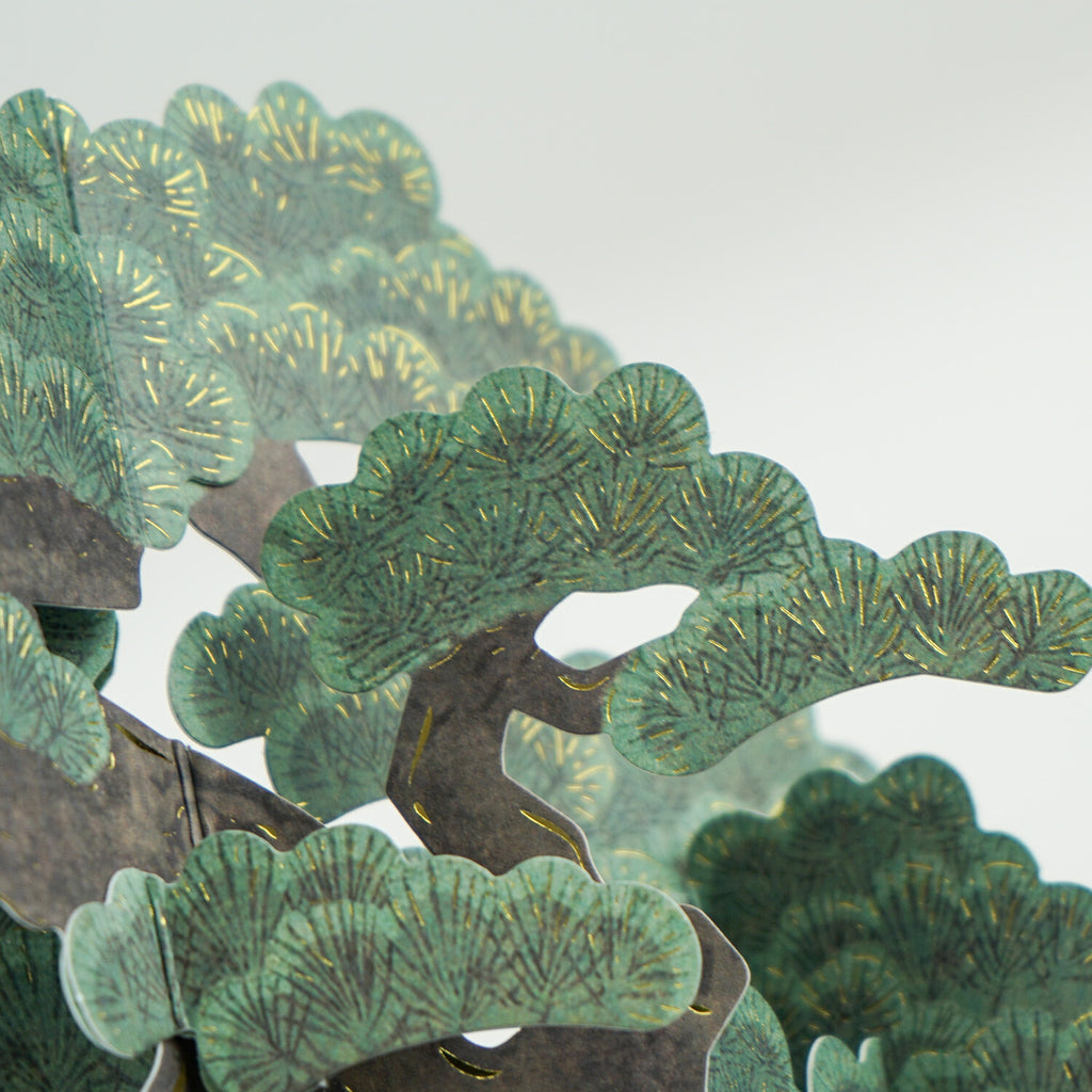 Greeting Life BONSAI Pop-Up Card - Black Pine