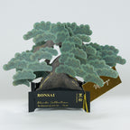 Greeting Life BONSAI Pop-Up Card - Black Pine
