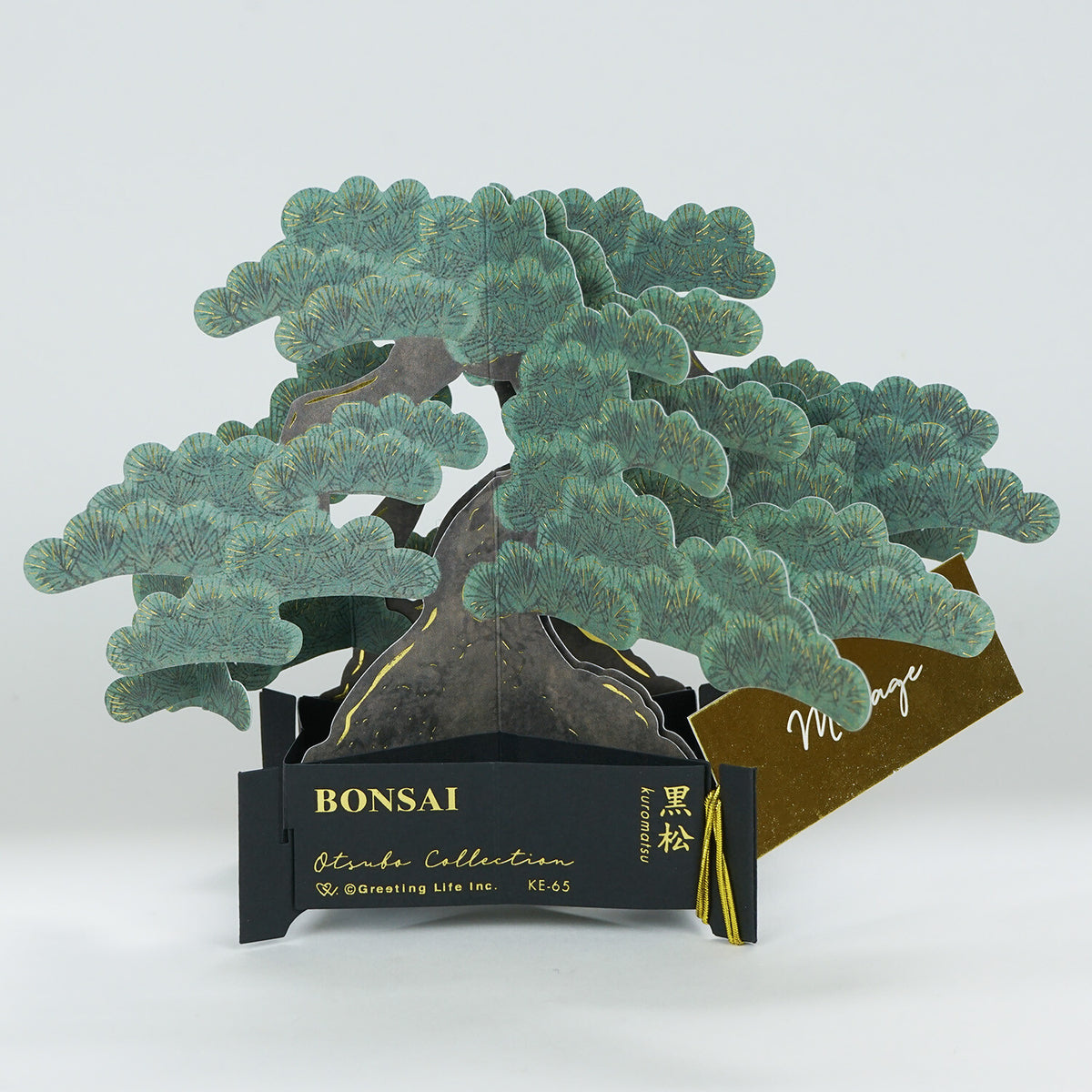 Greeting Life BONSAI Pop-Up Card - Black Pine