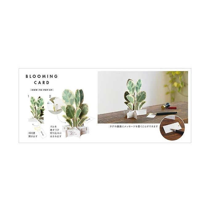 Japanese Greeting Cards & Letter Sets | MINIMARU