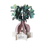 Greeting Life Banyan Tree Pop-up Card