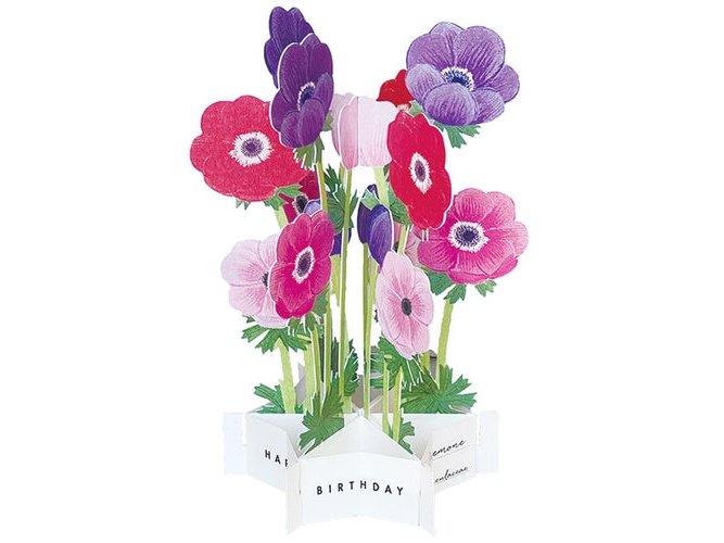 Greeting Life Birthday Blooming Flower Anemone Pop-Up Card