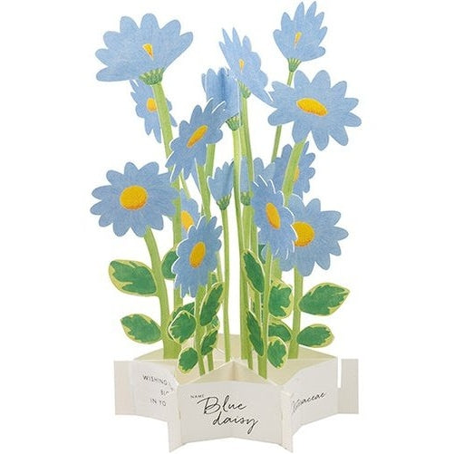 Greeting Life Birthday Blooming Flower Blue Daisy Pop-Up Card