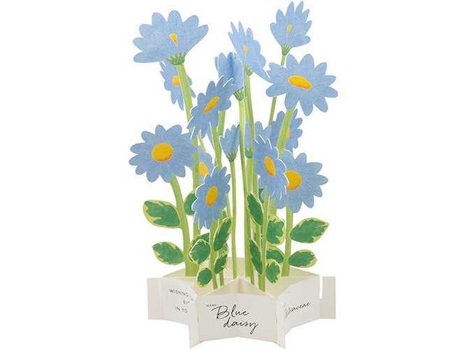 Greeting Life Birthday Blooming Flower Blue Daisy Pop-Up Card