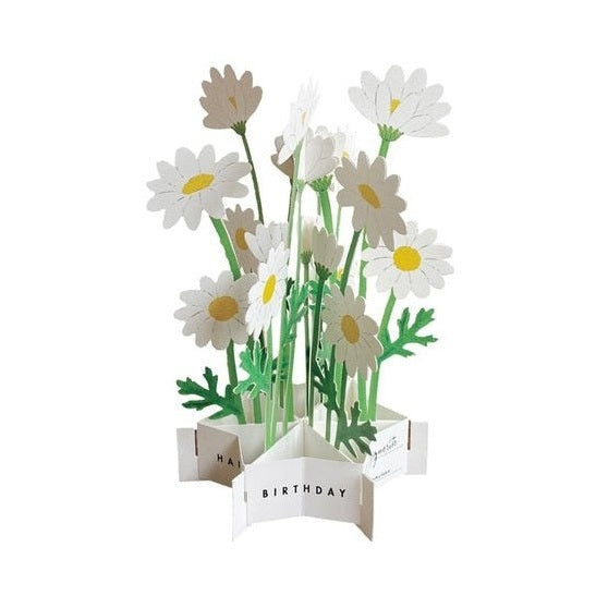 Greeting Life Birthday Blooming Flower Daisy Pop-Up Card