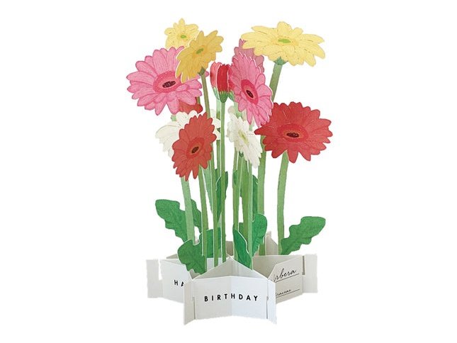 Greeting Life Birthday Blooming Flower Gerbera Pop-Up Card