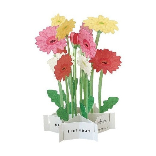 Greeting Life Birthday Blooming Flower Gerbera Pop-Up Card