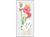 Greeting Life Birthday Blooming Flower Gerbera Pop-Up Card