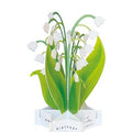 Greeting Life Birthday Blooming Flower Lily Pop-Up Card