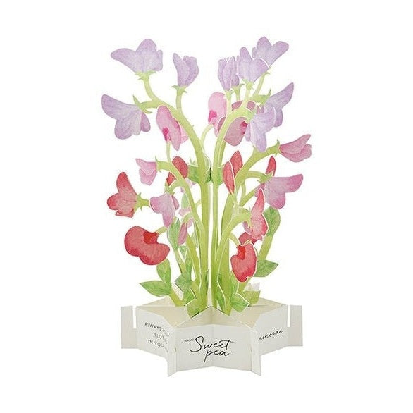 Greeting Life Birthday Blooming Flower Pink Sweet Pea Pop-Up Card