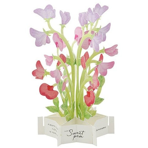 Greeting Life Birthday Blooming Flower Pink Sweet Pea Pop-Up Card