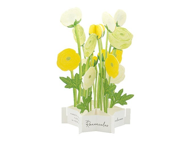 Greeting Life Birthday Blooming Flower Yellow Buttercup Pop-Up Card