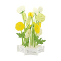 Greeting Life Birthday Blooming Flower Yellow Buttercup Pop-Up Card