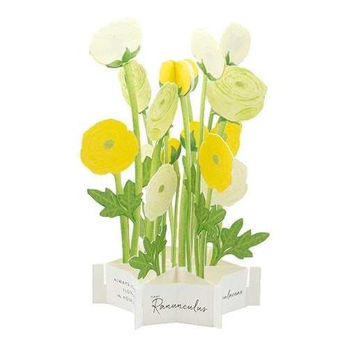 Greeting Life Birthday Blooming Flower Yellow Buttercup Pop-Up Card