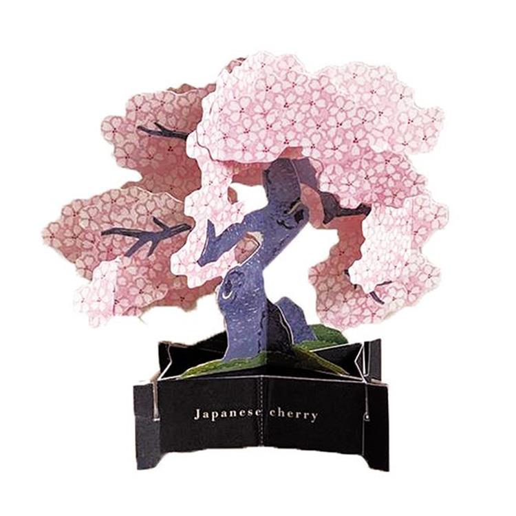 Greeting Life Blooming Card Cherry Blossom Bonsai