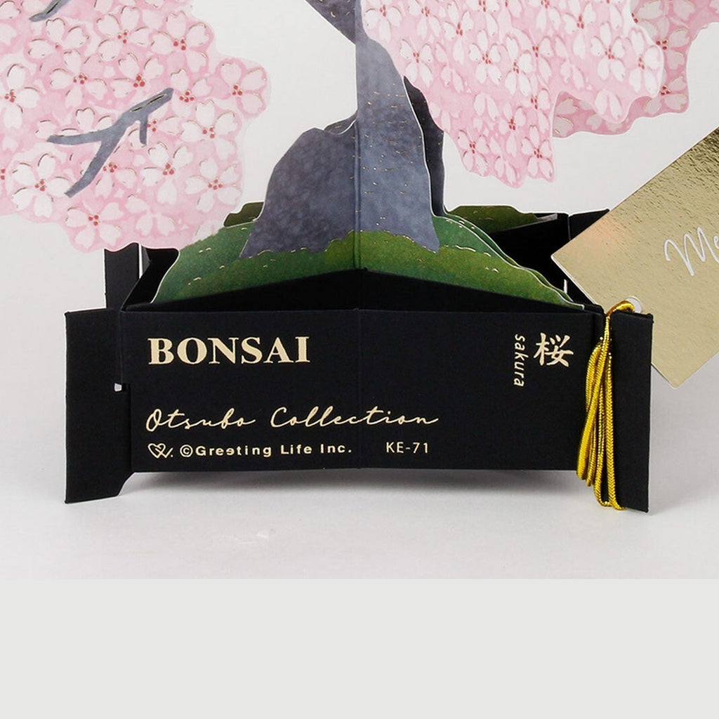 Greeting Life Blooming Card Cherry Blossom Bonsai