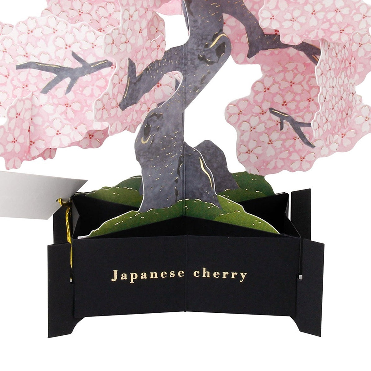 Greeting Life Blooming Card Cherry Blossom Bonsai