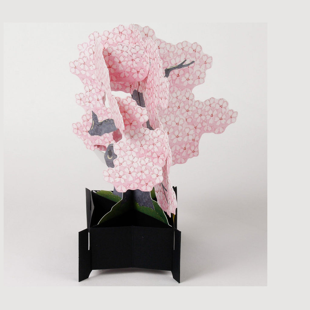 Greeting Life Blooming Card Cherry Blossom Bonsai