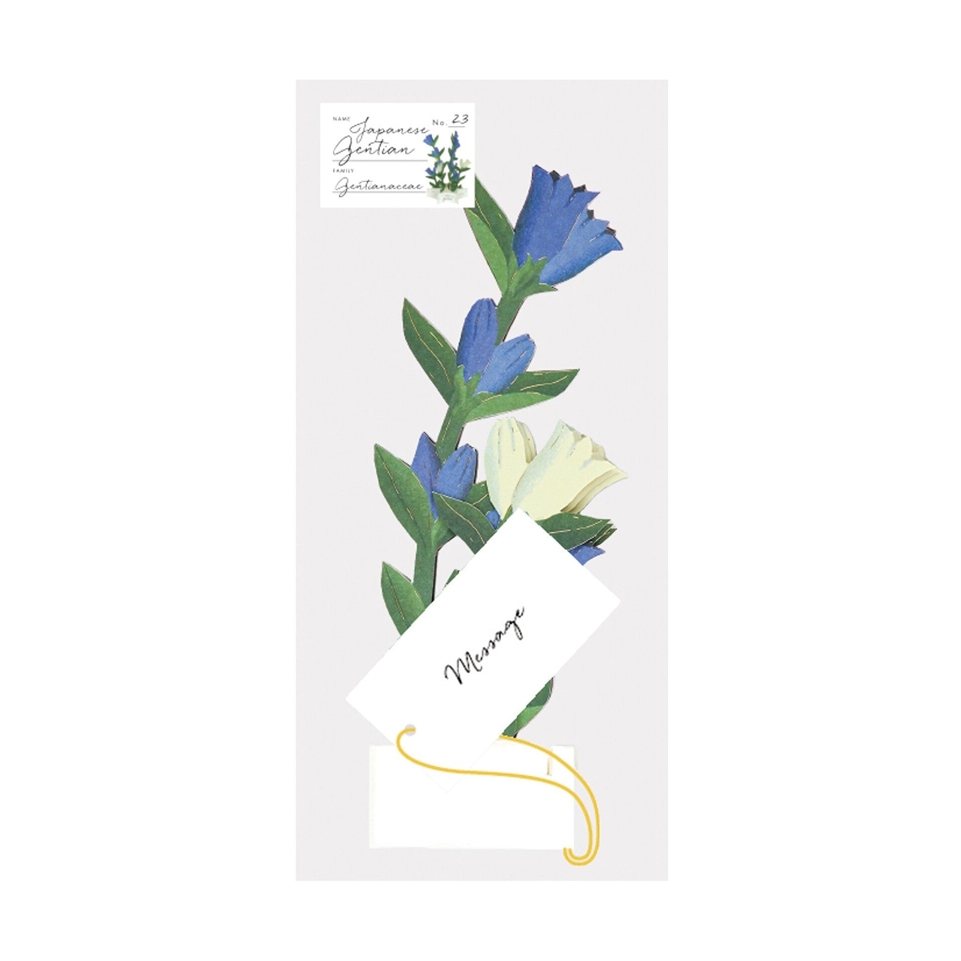 Greeting Life Blooming Card Gentians
