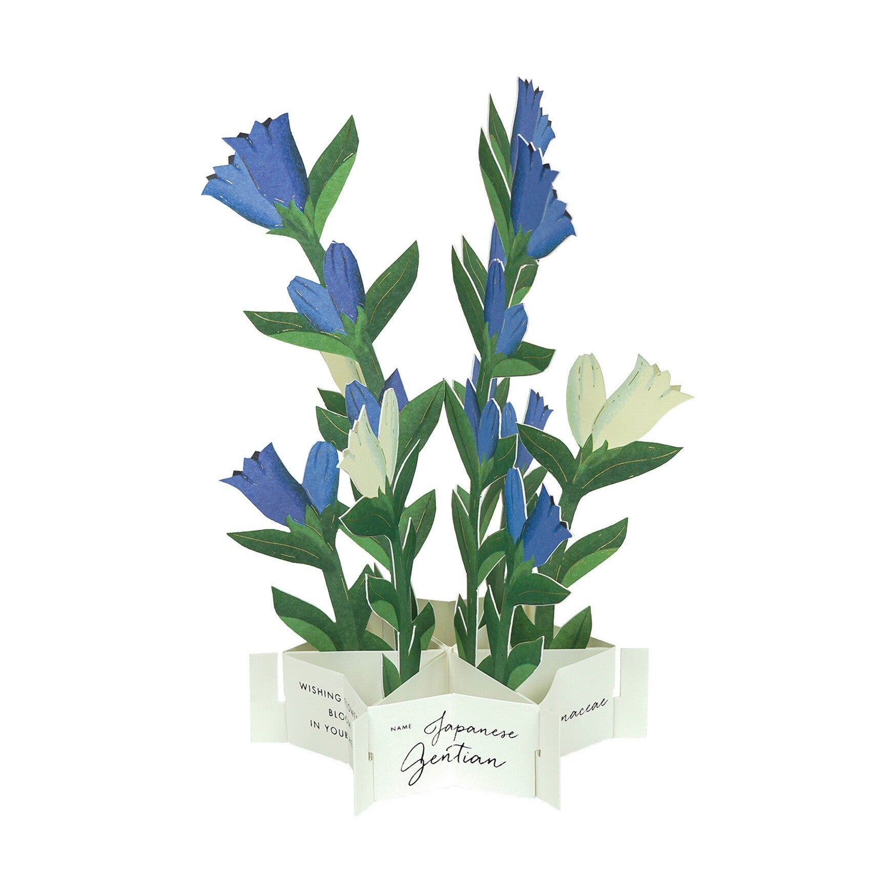 Greeting Life Blooming Card Gentians